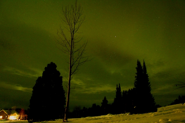 Aurora v Inari